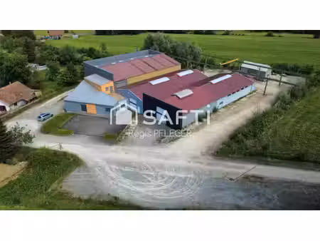 vente commerce 10 pièces 1900 m² grandvillars (90600)