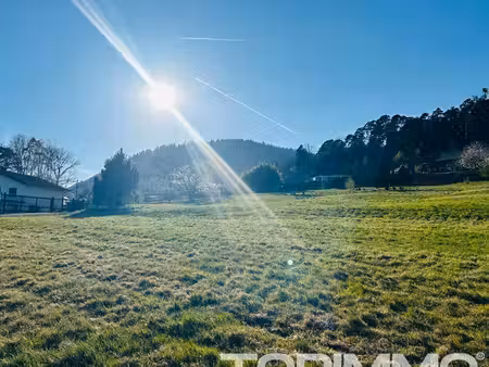 terrain 1902 m² saint die des vosges
