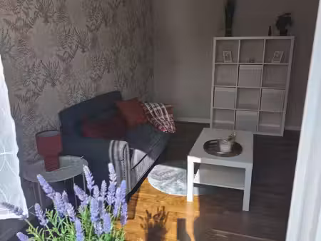 maison meublée avec jardin privatif