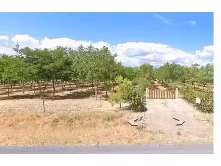 terrain agricole