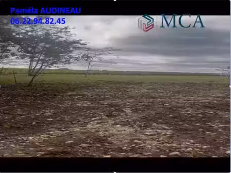 vente terrain 5000 m² à langoiran (33550)  160 000 €
