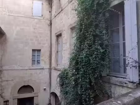 location appartement 3 pièces 66 m² à montpellier (34000)  1 030 €