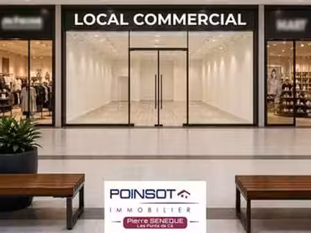 location bureaux et commerces aux ponts-de-cé (49130) : à louer / les ponts-de-cé