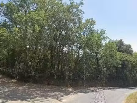 vente terrain à las-illas (66480) : à vendre / 660m² las-illas