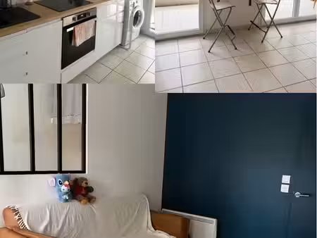 appartement bayonne