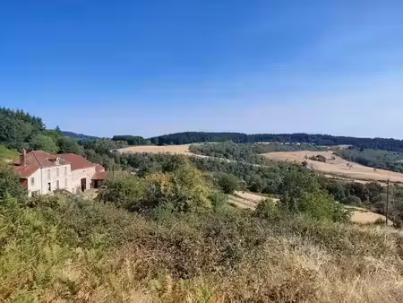 vente ferme 8 pièces 160 m² à ambierle (42820)  189 000 €