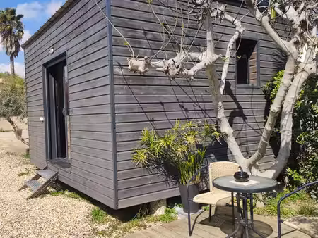 jolie studio dans jardin à tourbes
