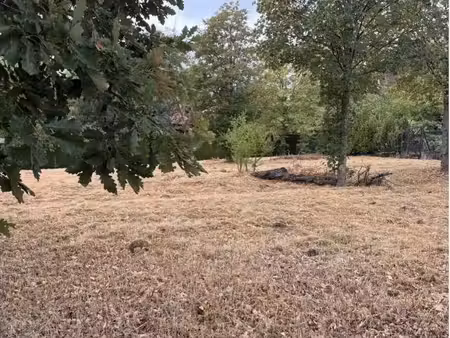 terrain non viabilisé