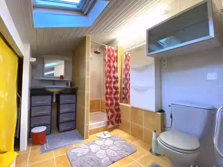 maison en viager 4 pièces 57 m²