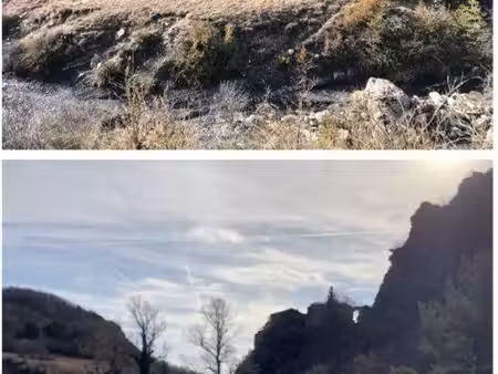 terrain arrière pays niçois