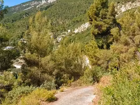 ? 2260 m2 double villa
