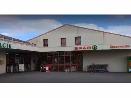 épicerie / alimentation générale à vendre
