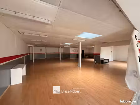 local d'activité 270 m²