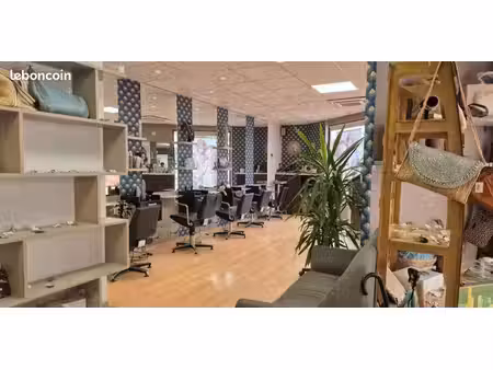 salon de coiffure chaponost a vendre