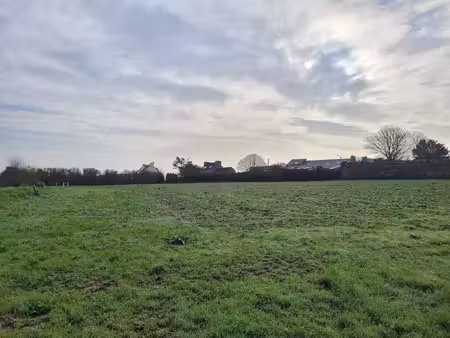 trecobois brest