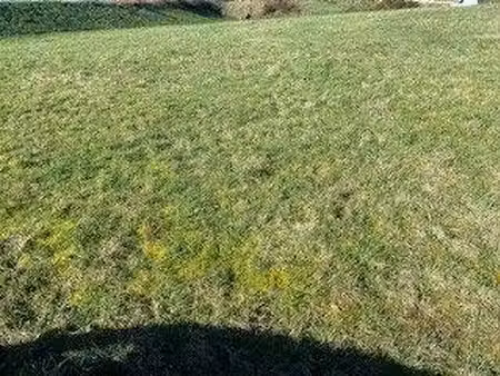 terrain constructible viabilisé à vendre