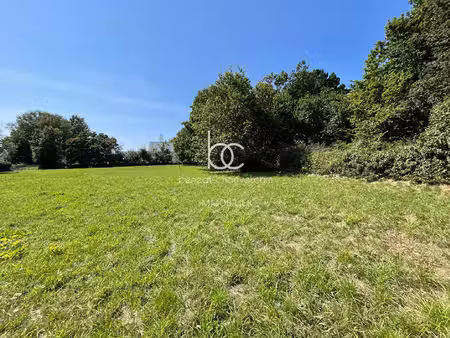terrain constructible viabilisé à vendre