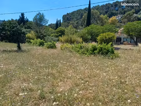 terrain 583 m² sollies pont