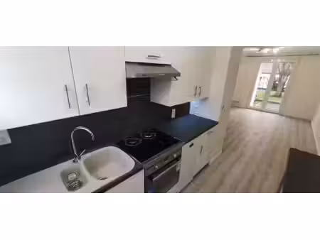 domingos