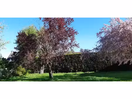 trecobois rennes