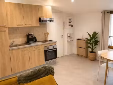 superbe loft meublé de 45 m²  lumineux et plein de charme