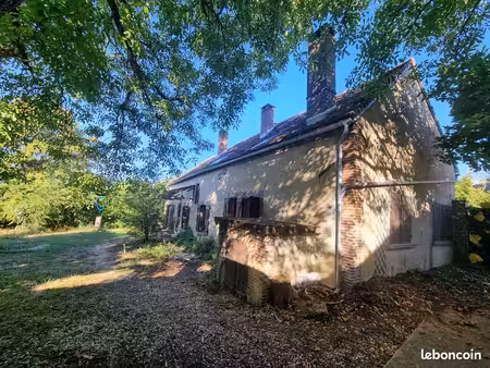 maison atypique d'une surface de 213 m² habitable avec un grand terrain arboré de 4773 m² 