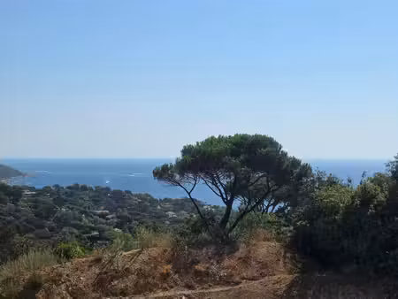 vente terrain