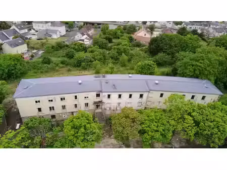vente immeuble 0 pièces 1134 m² à saint-doulchard (18230)  395 000 €