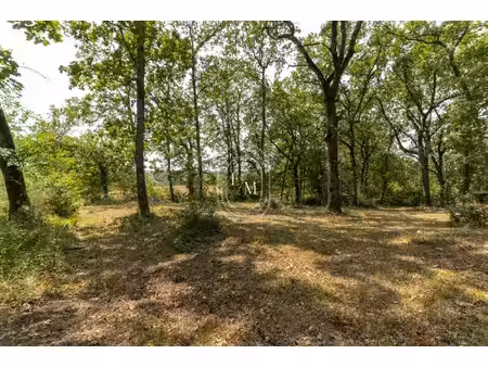 achat terrain 2 674m² villemur sur tarn 31340