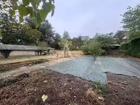 vente terrain 1600 m² à nyoiseau (49500)  47 000 €