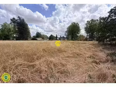 vente terrain 4190 m² à châteauneuf-sur-cher (18190)  26 000 €