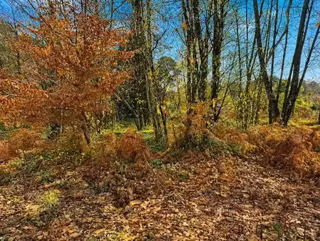 vente terrain 1000 m² à chancelade (24650)  37 000 €