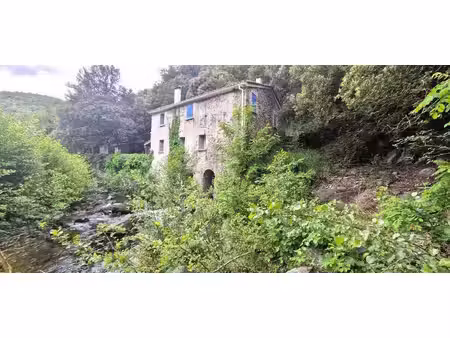atypique - ancien moulin renove et independant proche sournia