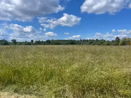 vente terrain 1800 m² pompéjac (33730)