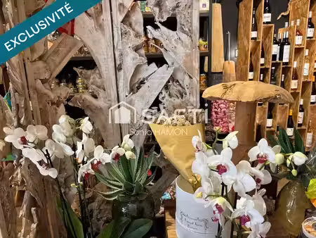 vente locaux professionnels 0 pièces 55 m² à plougoulm (29250)  60 500 €