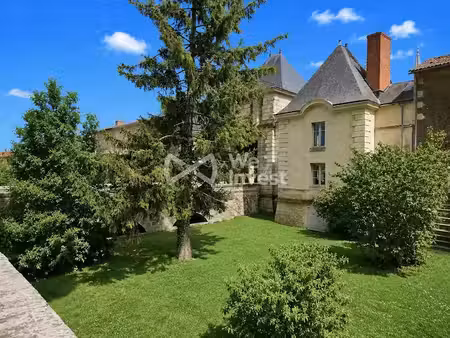 vente locaux professionnels 0 pièces 93 m² à richelieu (37120)  131 250 €