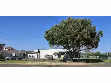 vente locaux professionnels 262 m² à gabarret (40310)  291 000 €