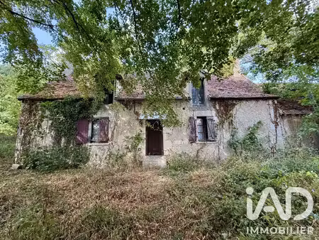 vente maison 2 pièces 70 m² le blanc (36300)