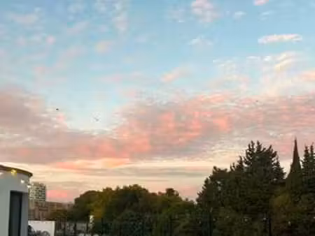 bureau prestigieux de 37 m2 en location - montpellier  france