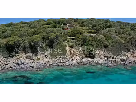 villa avec piscine en bord de mer propriano (2a)