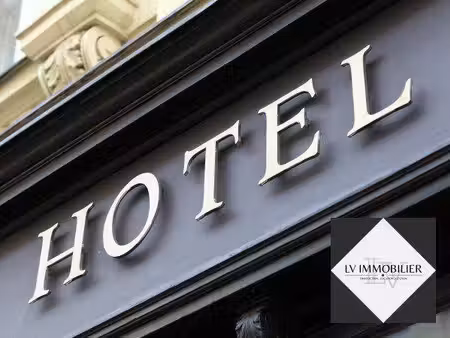 lv immobilier