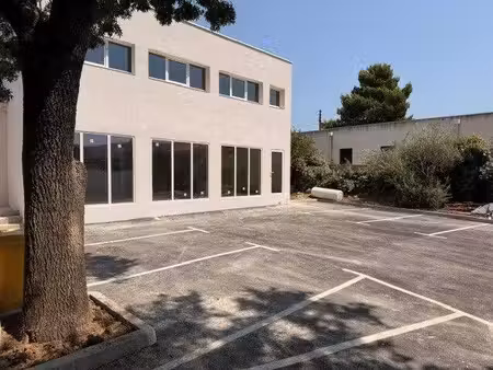 sarl sport immo