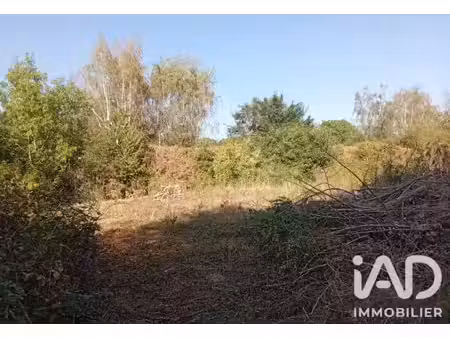 vente terrain 438 m² rebais (77510)
