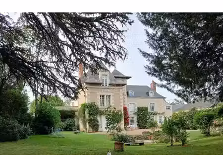 vente demeure de ville et village chateauneuf sur sarthe  360m² 12 pièces 550 000€ maine-e