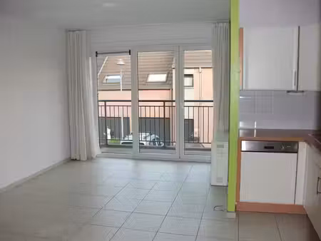 appartement 1 ch à louer à braine-le-comte