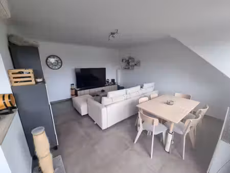 appartement rénové 2 chambres avec terrasse plein sud