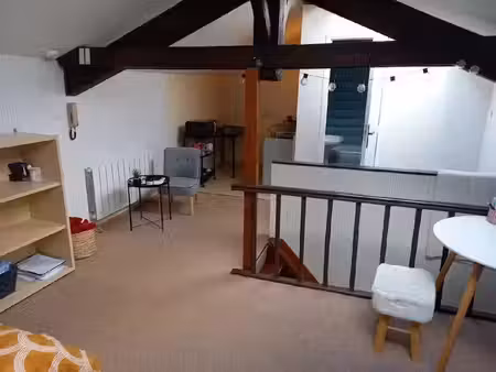 location appartement 1 pièce 23 m² à nancy (54000)  375 €