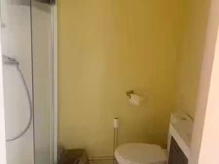 location meublée appartement 1 pièce 15 m² à lyon 2ème (69002)  520 €