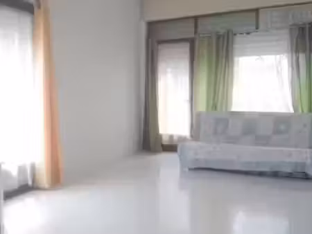 location appartement 3 pièces 49 m² à grenoble (38000)  650 €