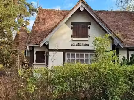 vente maison 2 pièces 100 m² à oussoy-en-gâtinais (45290)  73 000 €